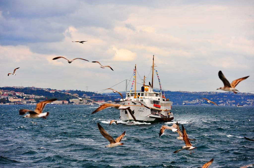 Juliet Rooms & Kitchen Istanbul Exteriör bild